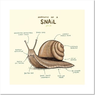 Anatomy of a Snail Posters and Art